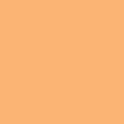 Rosco E-Colour #204 Full CT Orange (21 x 24inch Sheet)