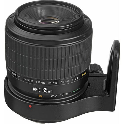 Canon MP-E 65mm f-2.8 1-5x Macro Lens