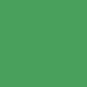 Generic Chroma cloth green 2.4 X 3.6
