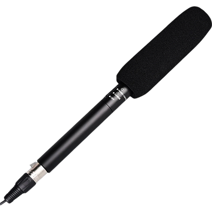 Takstar SGC578 Microphone