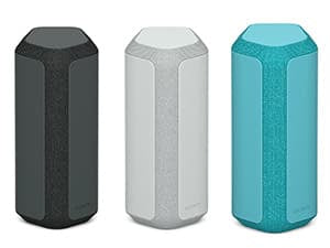 Sony SRS-XE300 Portable Bluetooth Speaker