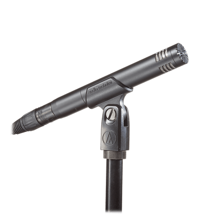 Audio-Technica AT2031 Cardioid Condenser Microphone